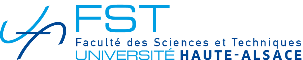 FST Logo 2017